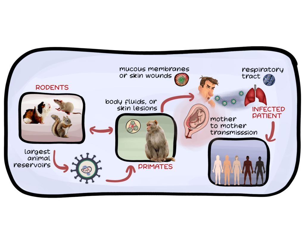 Mpox: Basics you need to know