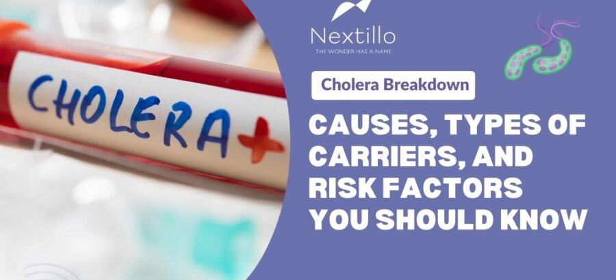 Cholera Breakdown Causes, Types of Carriers, and Risk Factors You Should Know