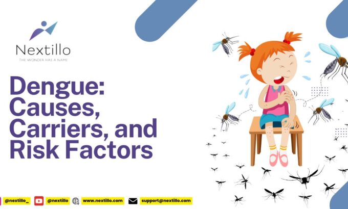 Dengue Causes, Carriers, and Risk Factors