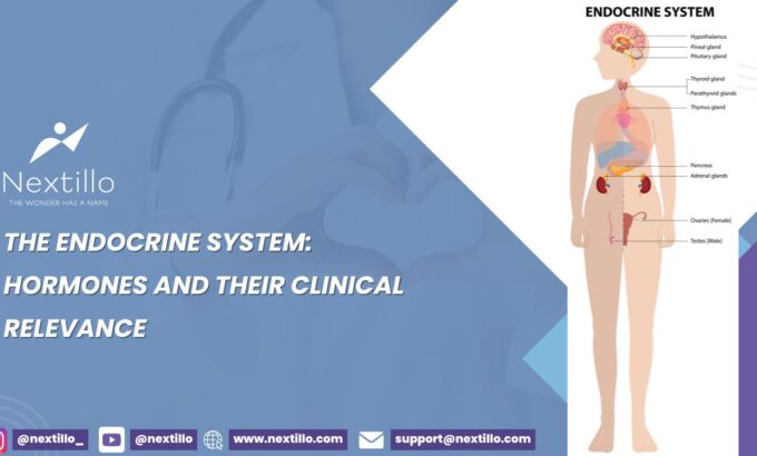 The Endocrine System Hormones and Their Clinical Relevance