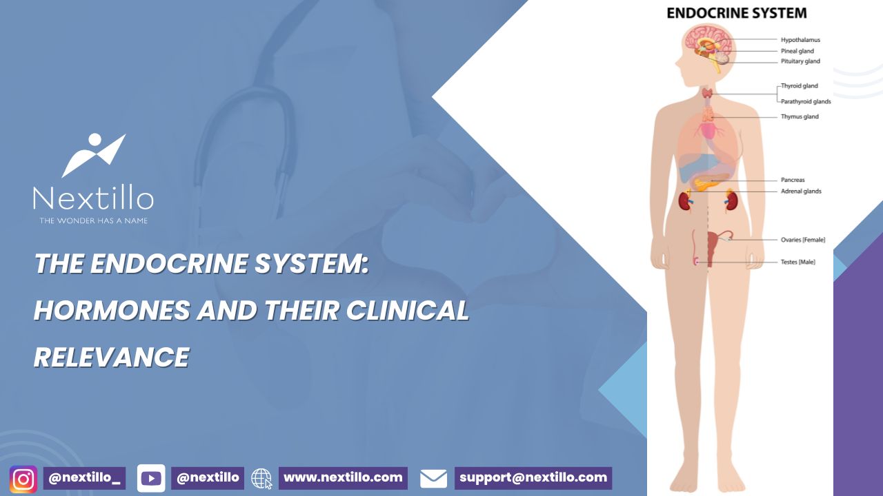 The Endocrine System Hormones and Their Clinical Relevance