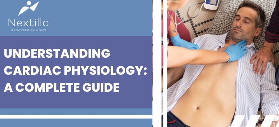 Understanding Cardiac Physiology: A Complete Guide